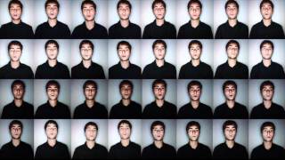 Hide and Seek  One Man A Cappella Imogen Heap Cover [upl. by New]