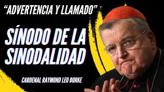 quotLA IGLESIA ESTÁ AMENAZADAquot Mensaje del Cardenal Burke sobre el SÍNODO DE LA SÍNODALIDAD [upl. by Marentic]