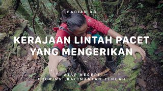 GUNUNG BUKIT RAYA  Atap Negeri Kalimantan Tengah 3 [upl. by Winna]