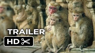 12 Monkeys Original Trailer HD Terry Gilliam 1995 [upl. by Wivestad520]