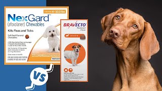 BRAVECTO CHEWABLE TABLETS FOR DOGS shortvideo [upl. by Aleahpar547]