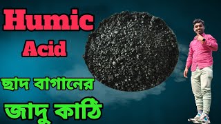 গাছে দিন হিউমিক অ্যাসিড ম্যাজিক হবে বাগানে  what is humic acid। benefits of humic acid [upl. by Satsoc]