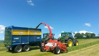 Silage silage silage Ballyspring Baby [upl. by Enoval]