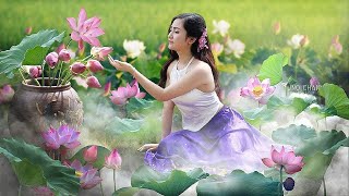 Vietnamese Music  Vietnamese Traditional Bamboo Flute  Relaxing Instrumental Music for Sleep [upl. by Anatollo]