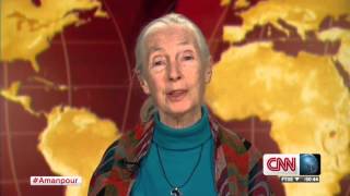 Jane Goodall and Vandana Shiva talk climate change on Amanpour [upl. by Dorrahs]