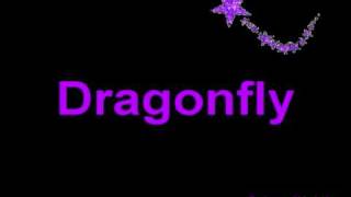 Dragonfly  Music with lyrics [upl. by Apul]