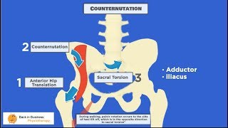 Pelvic Malalignment [upl. by Waechter429]