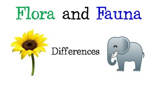 🌿 Difference Between Flora And Fauna 🦁 Fast and Easy  BIOLOGY [upl. by Nicodemus]