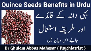 Quince Seeds Benefits UrduHindi  Behidana ke fayde [upl. by Denie]