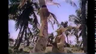 quotThe Cayquot 1974  FULL TV Movie HQ [upl. by Fairlie]