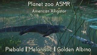 Planet Zoo ASMR  American Alligator [upl. by Giovanna]