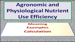 Agronomic and Physiological Nutrient Use Efficiency [upl. by Ztirf]