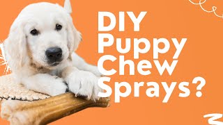 How To STOP Your Puppy From Chewing [upl. by Chessa]