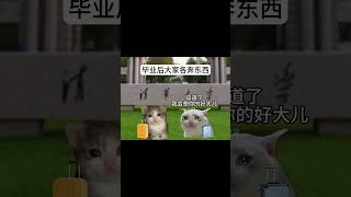 好笑吗 可是我再也看不到你笑了 meme 猫meme 真实故事 cat 喵不可言 喵 萌宠 [upl. by Lois]