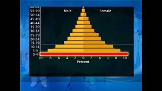 Population Pyramid  Class 8 Geography  Learnflix App [upl. by Nasar]