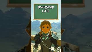 Invisible Link 101  Breath of the Wild Glitches [upl. by Kele]