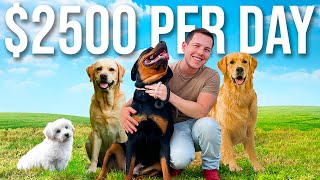 Making 2500 Per Day with a Luxury Dog Hotel  Undercover Millionaire [upl. by Farlee]