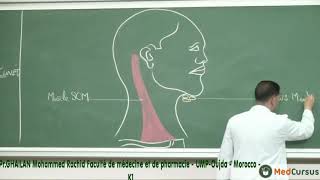 La vascularisation Lymphatique  Partie 1  Pr GHAILAN Med Rachid fac de médecine oujda [upl. by Yllod]