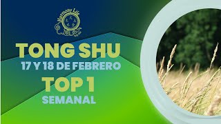 Predicciones Tong Shu fin de semana 17 y 18 de febrero y Top 1 semanal [upl. by Tecu]