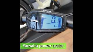 Quick Look Haibike Trekking 4 electric bike [upl. by Anier]