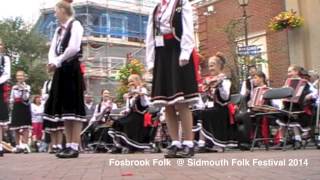 Fosbrook Folk  Sidmouth 2014 [upl. by Beeck]