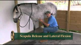 The Basic Scapula Release from Dressage Movements Revealed video [upl. by Adnwahsat995]