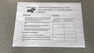 KS3 Home Learning  Diffusion Shark Attack [upl. by Sancha]