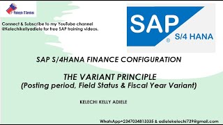 SAP S4HANA FINANCE THE VARIANT PRINCIPLE Posting period Field Status amp Fiscal Year Variant [upl. by Durer]