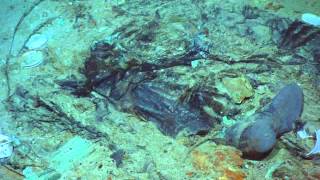 2022 TITANIC  Human remains at Titanic shipwreck site [upl. by Riella]