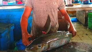 THE FASTEST VERY AGILE IN CUTTING FISH AT THE TRADITIONAL FISH MARKET [upl. by Elbys]