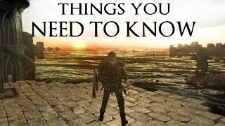 Dark Souls 2 New Mechanics you NEED to know [upl. by Freemon392]