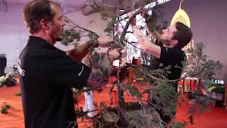 Bonsai demo by Marc Noelanders [upl. by Yatnoed]