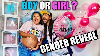 GENDER REVEAL  Girl Or Boy 👼🏻  Binario 12 [upl. by Akinek]