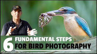 SIX FUNDAMENTAL steps to take HIGH QUALITY bird photographs [upl. by Pettifer365]