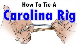 How to Tie A Fishing Rig How To Tie A Carolina Rig [upl. by Tuppeny396]