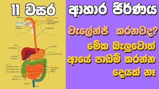 OL Science Sinhala  Grade 11 Science Unit 6 Part 1  Digestive System  ආහාර ජීර්ණ පද්ධතිය [upl. by Ayim]