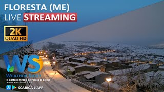 🔴 Floresta live webcam  Panoramica nordest [upl. by Austin]