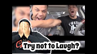 Hodgetwins Funniest Moments 2017  12  REACTION  TRY NOT TO LAUGH [upl. by Mellicent]