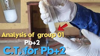 Salt Analysis of group 01 lead ions  test for Pb2 ion saltanalysis a2zpractical991 [upl. by Duaner127]