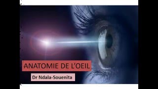 OPHTALMOLOGIE ANATOMIE DE L’OEIL [upl. by Tallia]