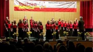 Ulmer Spatzen Chor  We beseech thee [upl. by Franchot736]