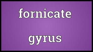 Fornicate gyrus Meaning [upl. by Yatnuahs]