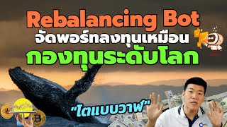 สอน Rebalance Bot ซื้อคริปโต ตามวาฬ กองทุนระดับโลก Pionex [upl. by Koren]