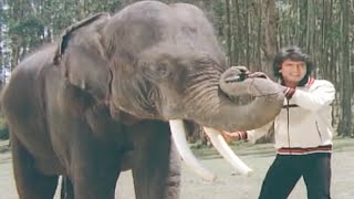 MITHUN Chakraborty Ne HAATHI Ko Bana Liya Apna DOST  Main Aur Mera Haathi Film  Mithun Movie Scene [upl. by Kcirret]