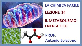 LA CHIMICA FACILE  Lezione 14  Il Metabolismo Energetico [upl. by Aneelehs]