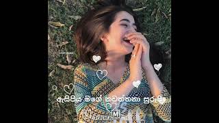 dilisi dilisi hada se sina siiදිලිදිසි දිලිසි හද සේ සිනා සීwhatsapp status video [upl. by Akemak]