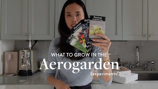 BEST PLANTS for the AEROGARDEN using the grow anything kit peppers tomatoes lettuces  herbs [upl. by Airamasor]