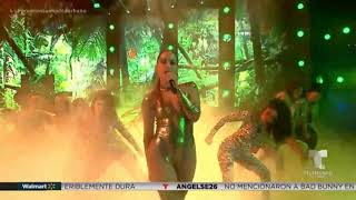 Anitta em Performance da musica quotVENENOquot  Premios Tu Musica Urbano 2019 em HD [upl. by Ladnar663]