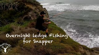 Overnight Ledge Fishing  Snapper NZ [upl. by Gordan218]