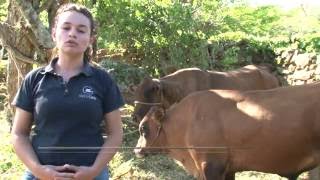 EMPRESARIOS DEL CAMPO ASOCRIOLLO MESA TECNICA CHINO SANTANDEREANO  SAN GIL 28062014 [upl. by Eyoj]